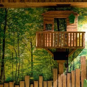 cabane